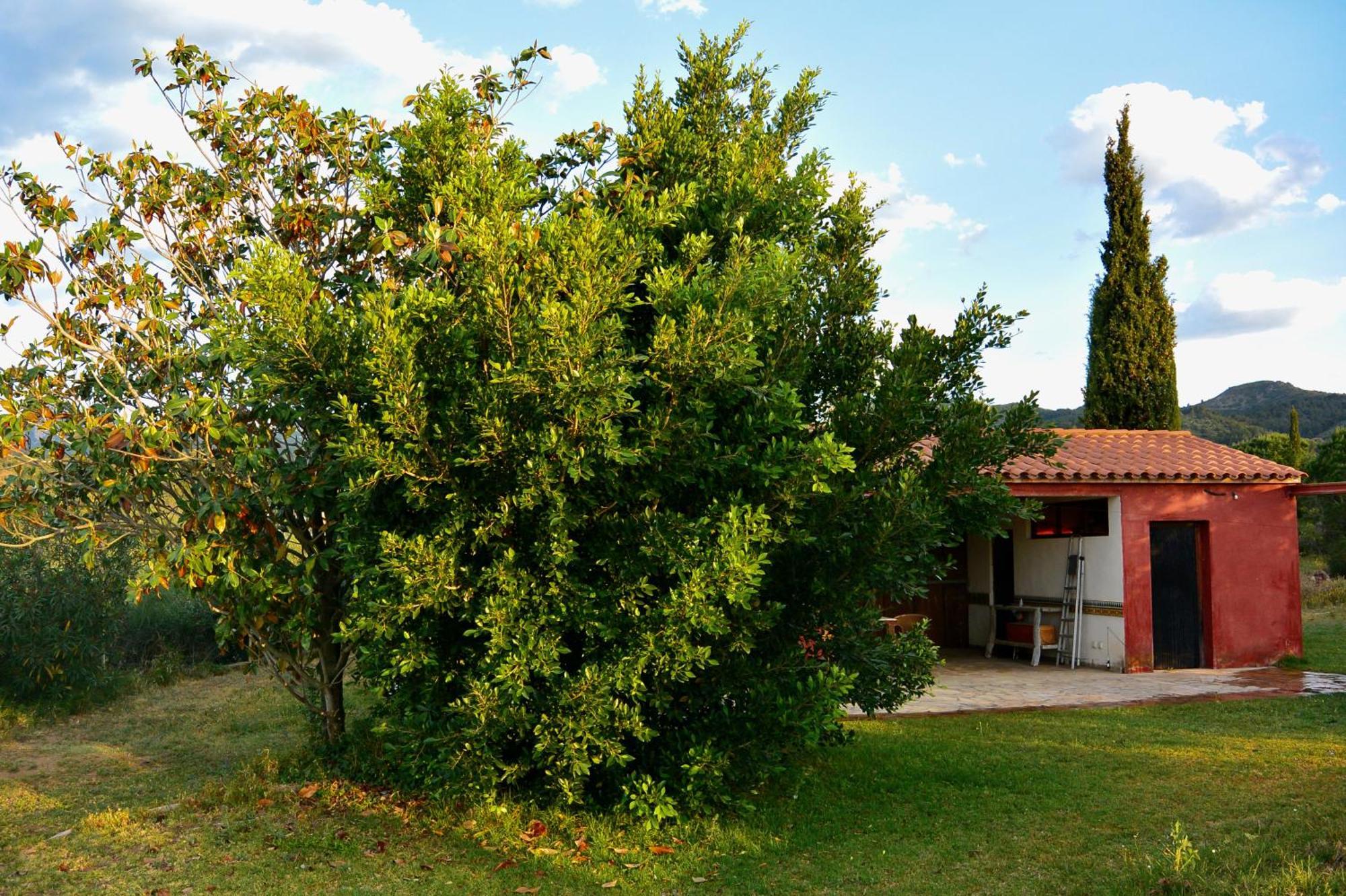 L'Albaida, Tranquility, Views Of Sea And Mountains Lejlighed Vilanova de Escornalbou Værelse billede